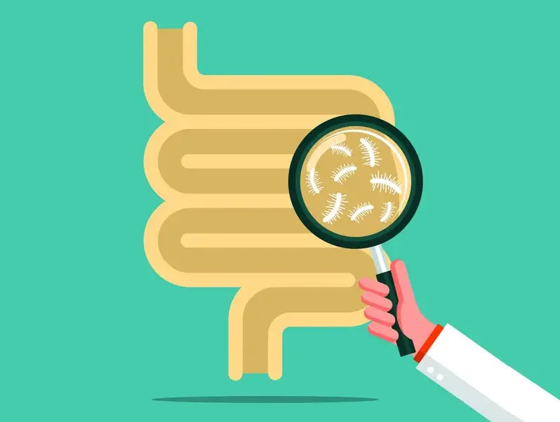 A quick introduction to SIBO